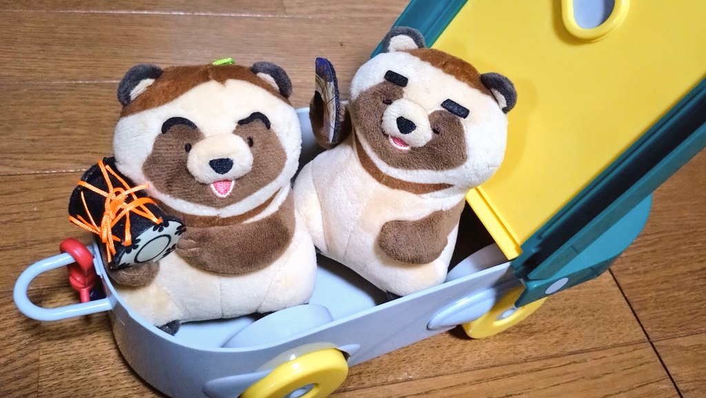 ちまき🌿 tweet media