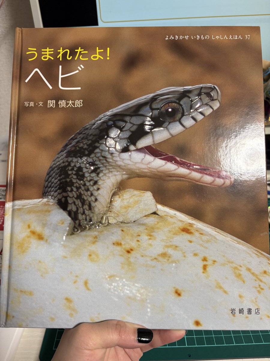へびも庵のへびたち tweet media