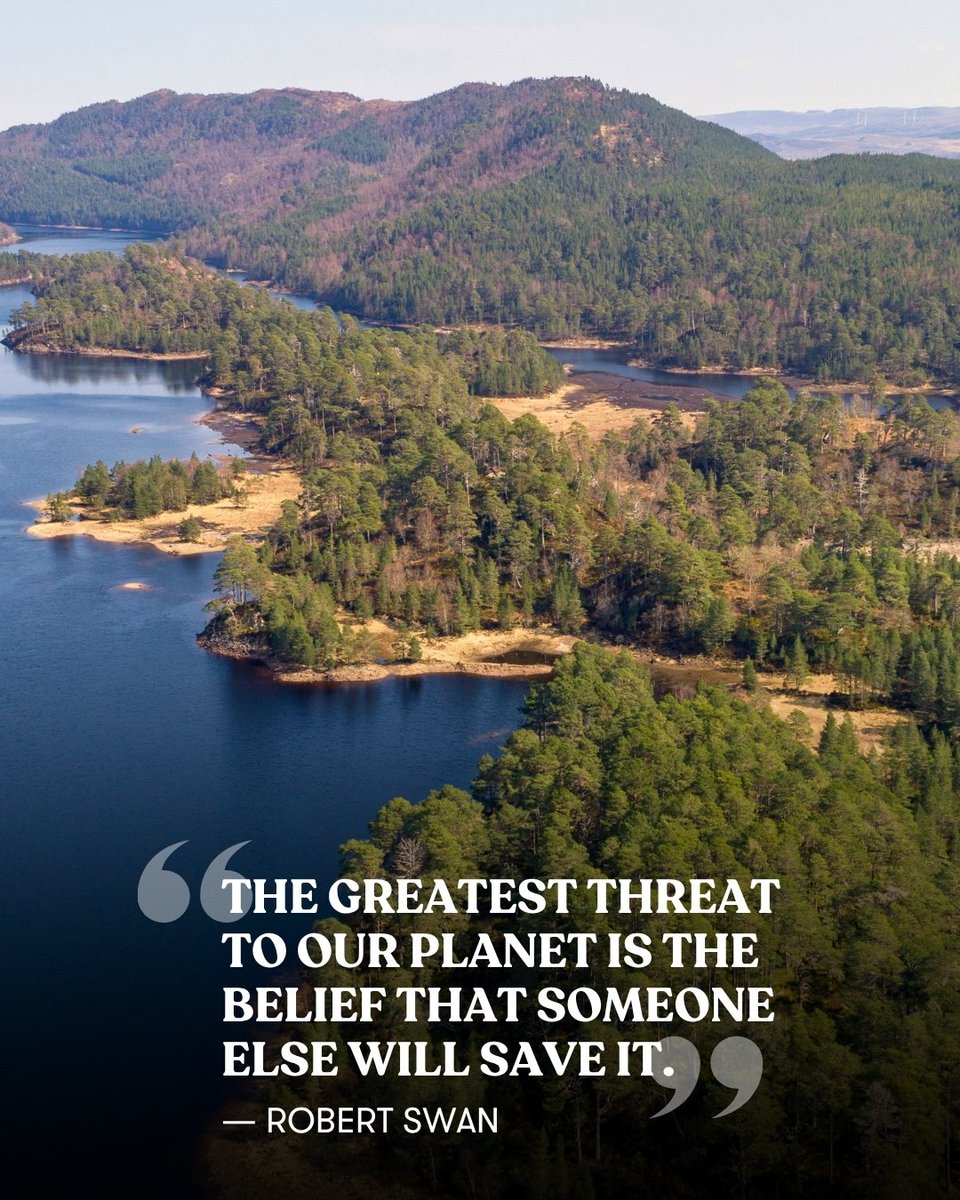 Trees for Life tweet media