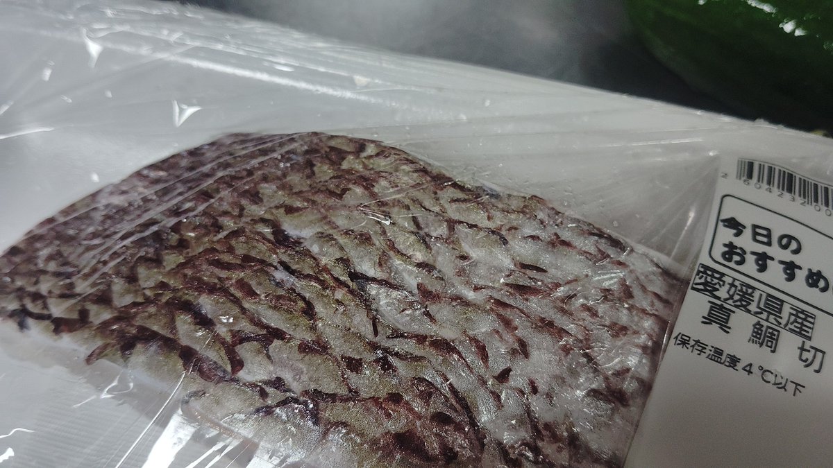 モゴモゴッ！！！モゴッ！モゴモゴゴッッッ！！！ tweet media