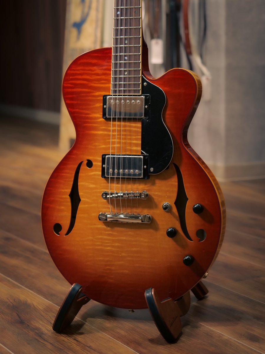 ドルフィンギターズ tweet media