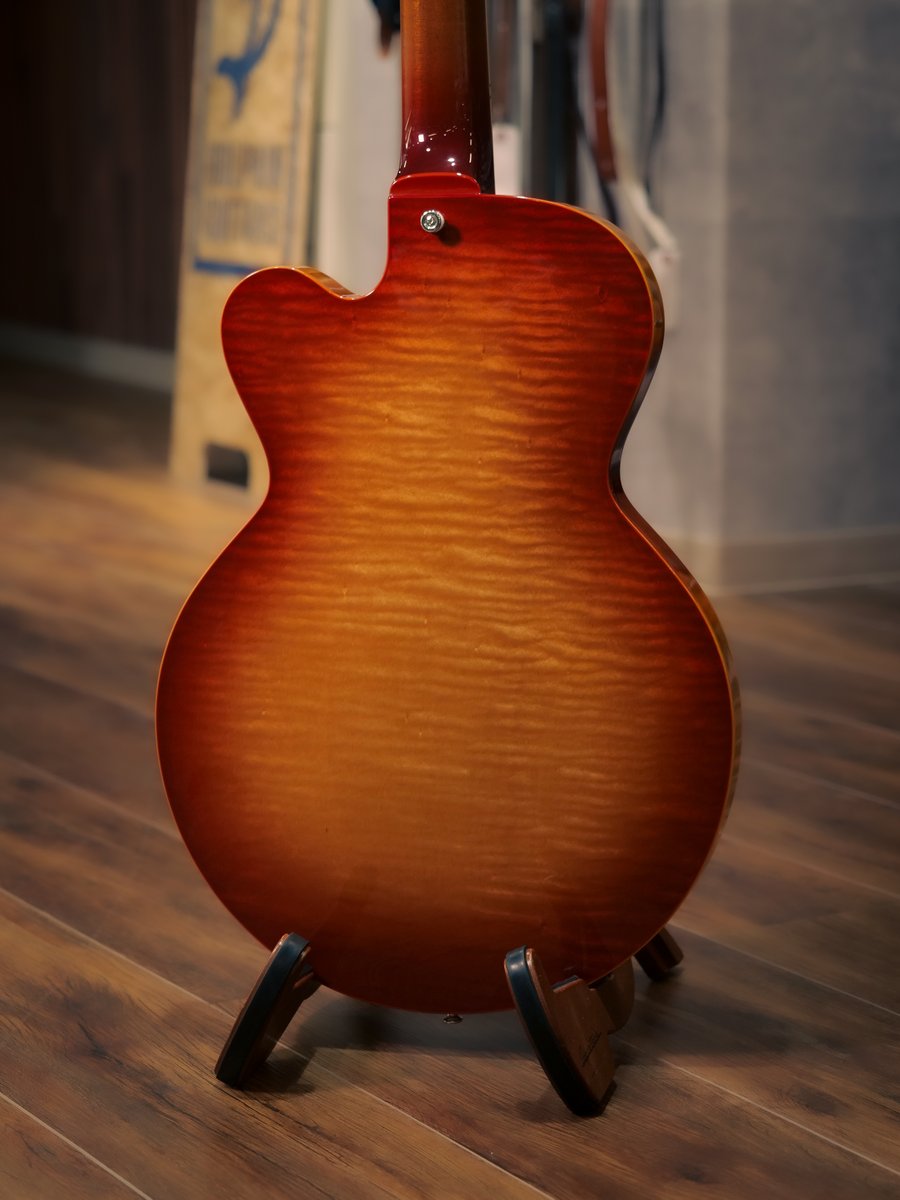 ドルフィンギターズ tweet media