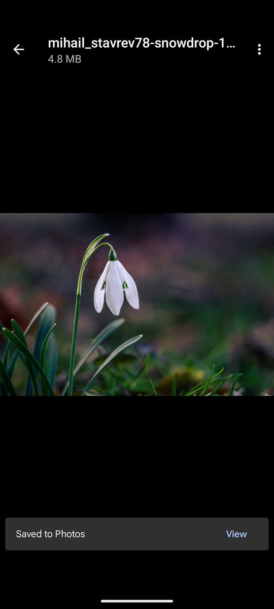 Strong Women, Strange Worlds tweet media