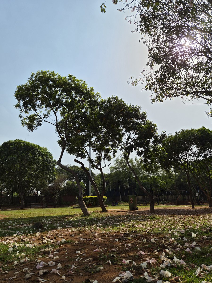 Noah Cat tweet media