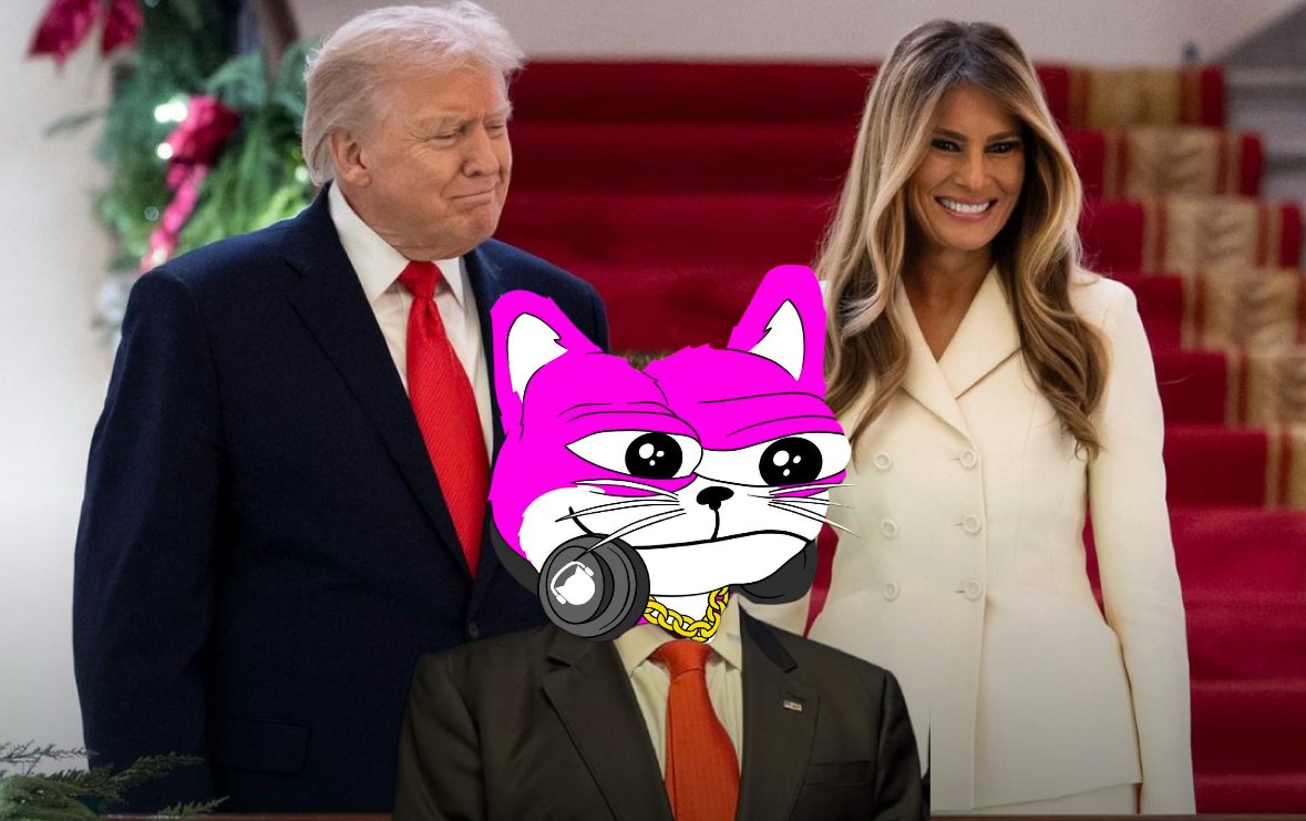 DUBCAT tweet media