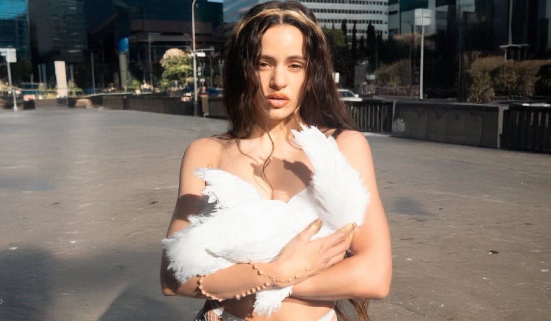 News Martin tweet media