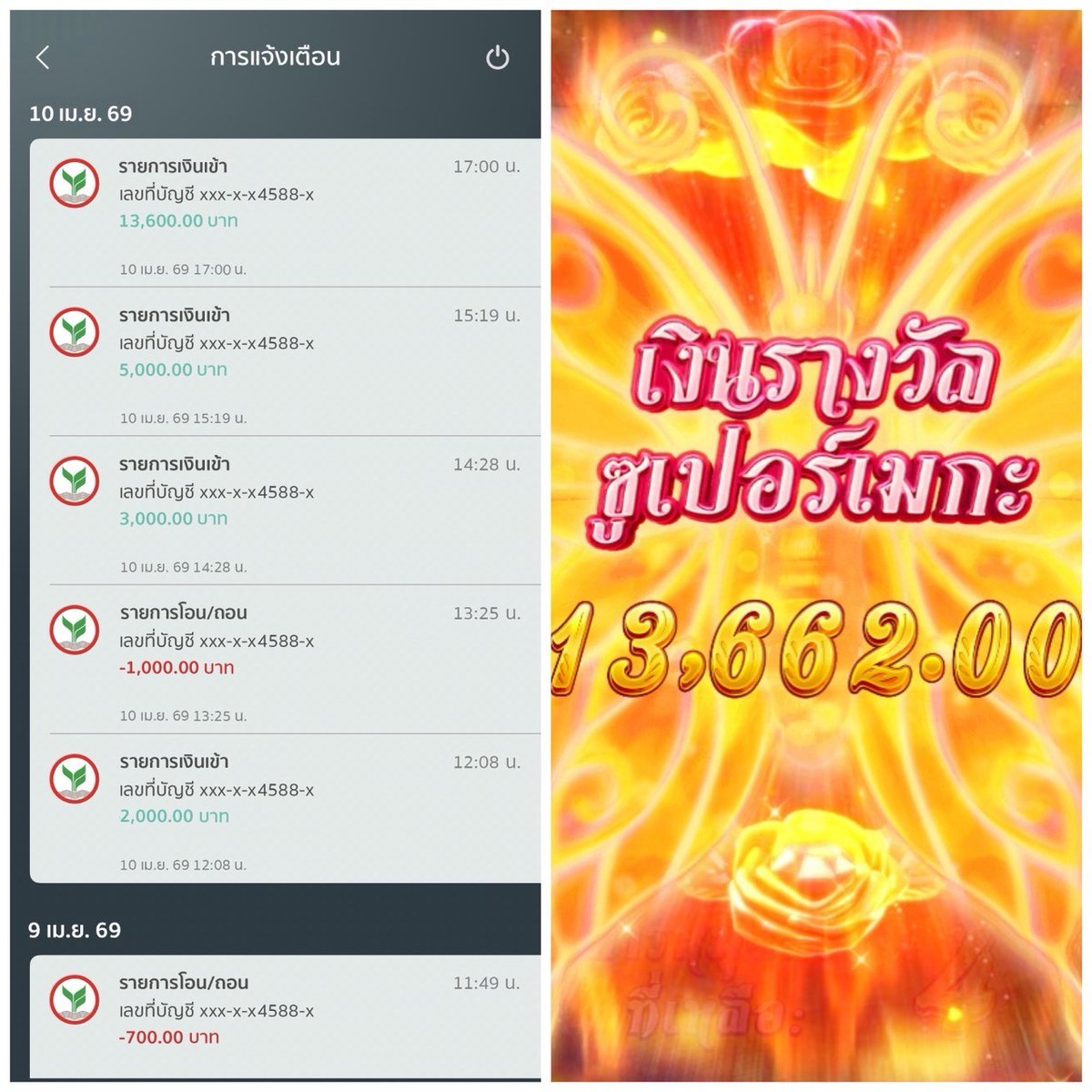 มะลิปี๊ใหญ่ tweet media