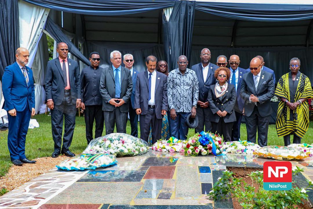 NBS Television tweet media