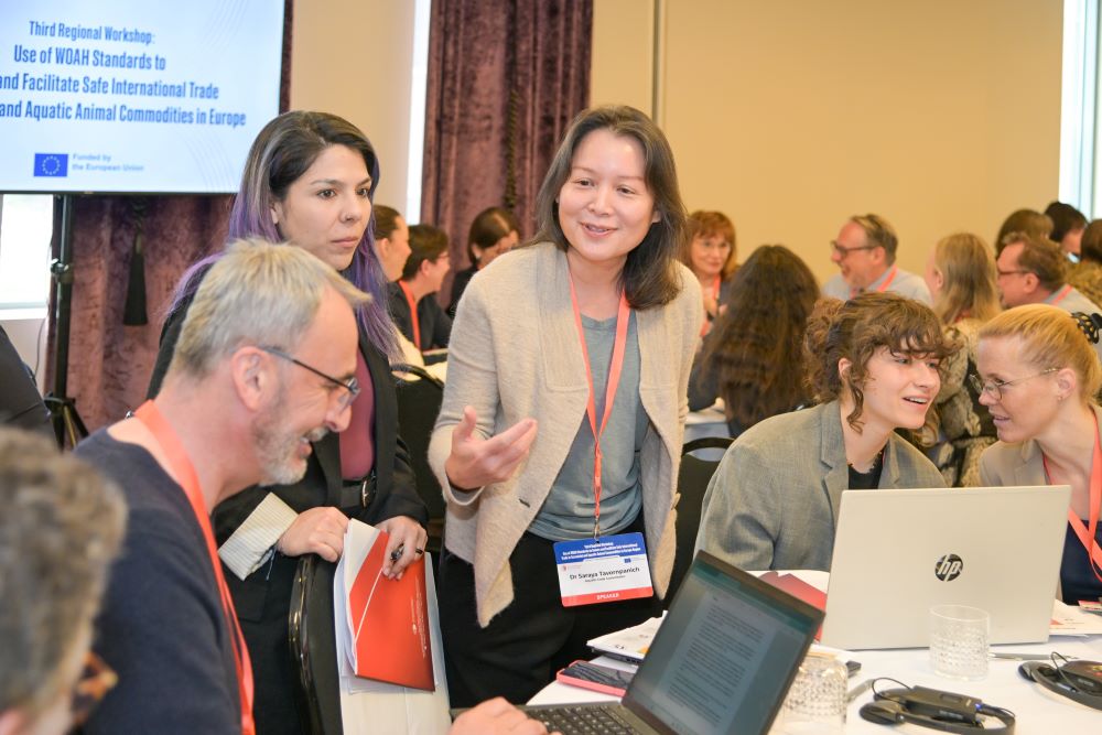 We’ve refreshed the Safe International Trade event page  – presentations, photos, participant feedback and extra training material now available. Take a look: rr-europe.woah.org/en/Events/thir…