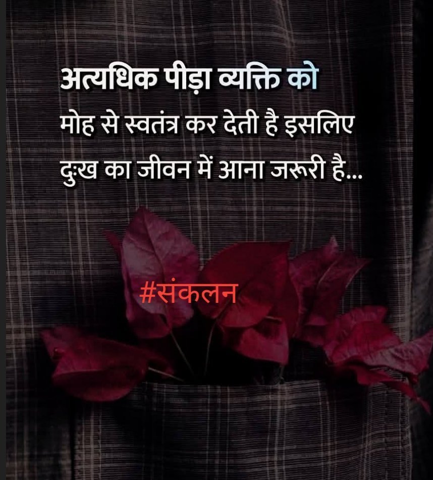 संकलन tweet media