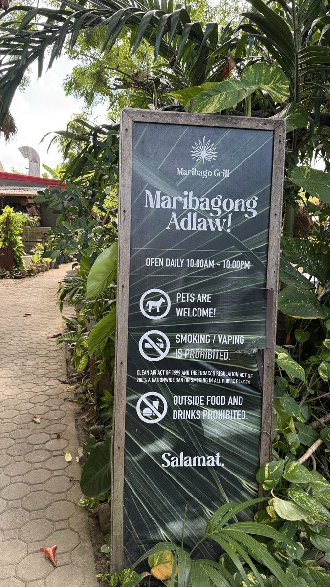 ocean diving（O） tweet media