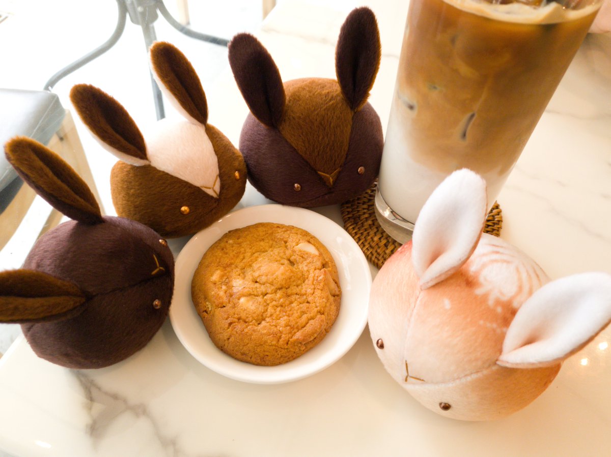 토끼모찌 레일 tweet media