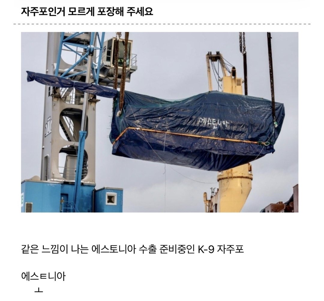 쫌쫌따리 tweet media