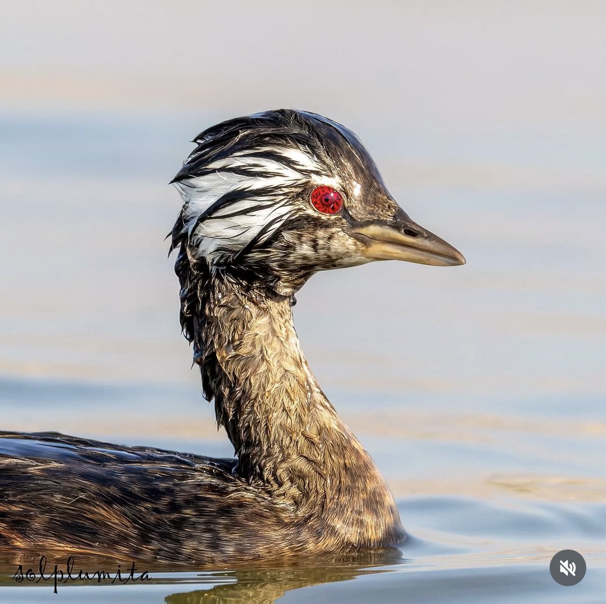 NAATSUU | NARUTO | BORUTO tweet media