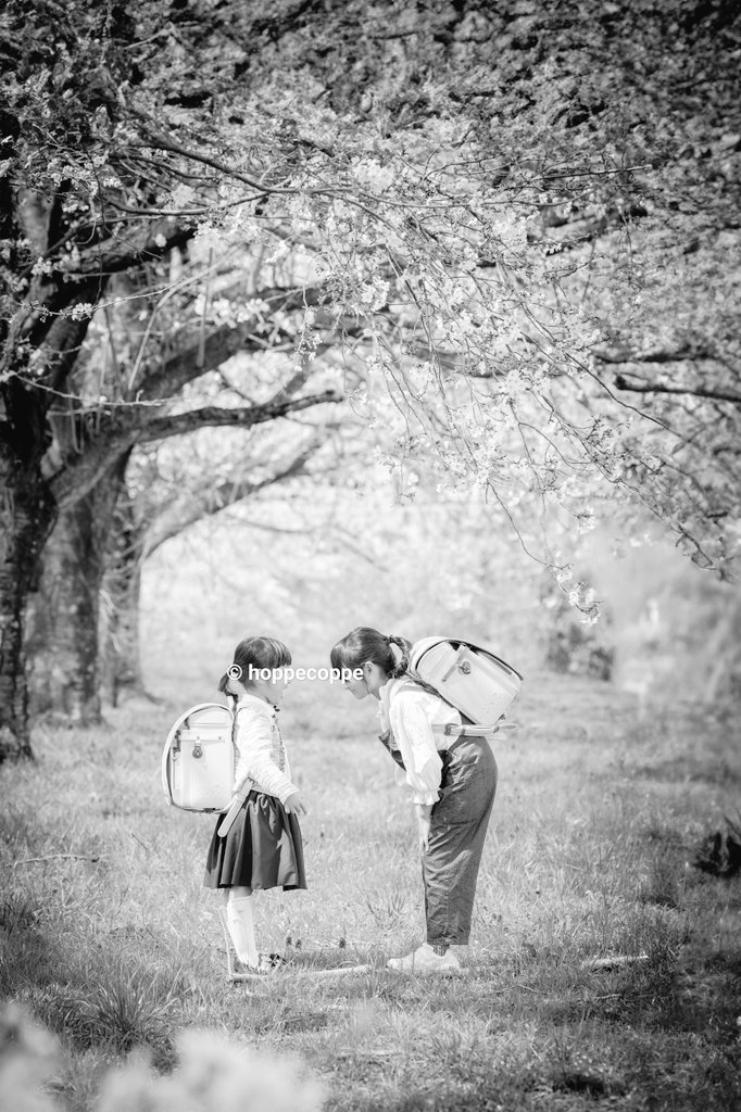 ほぺらんぷ tweet media