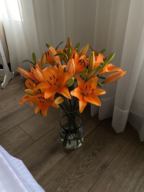 Tendencias en Argentina tweet media