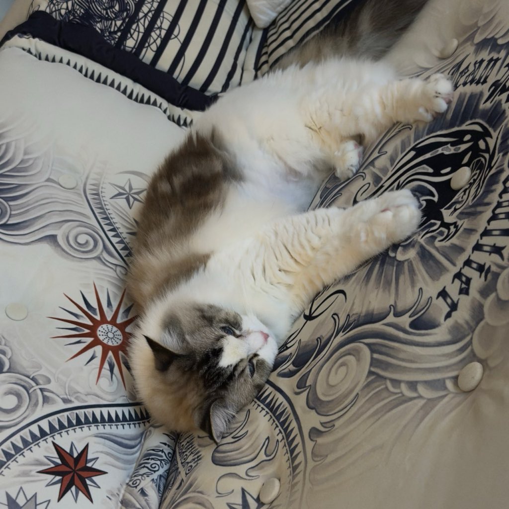 ⃟⃟⃟ tweet media