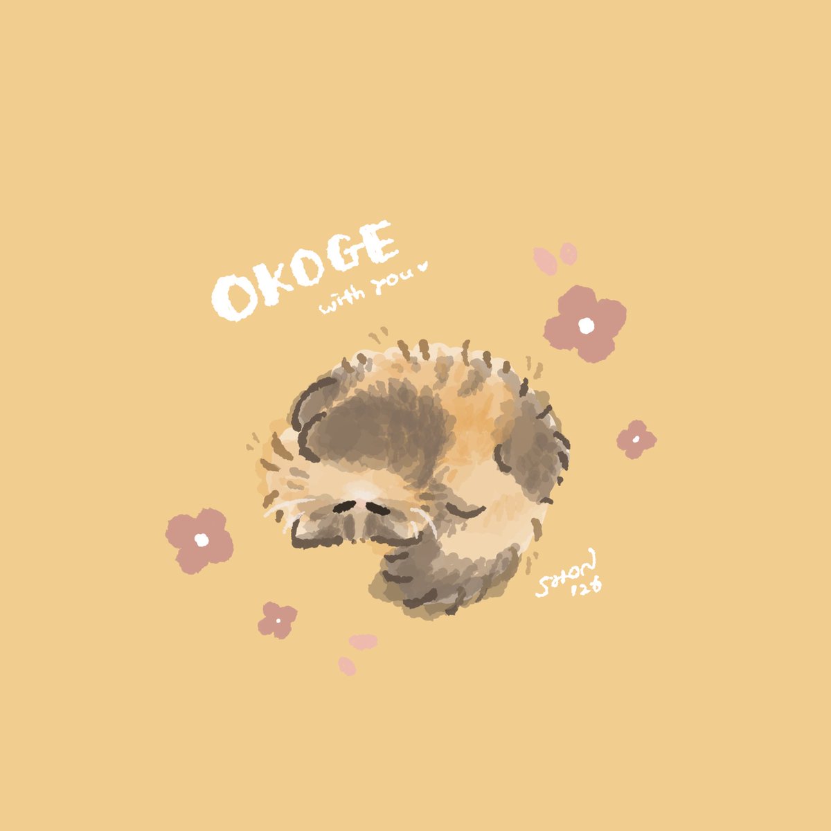 しゅうまいもどき tweet media