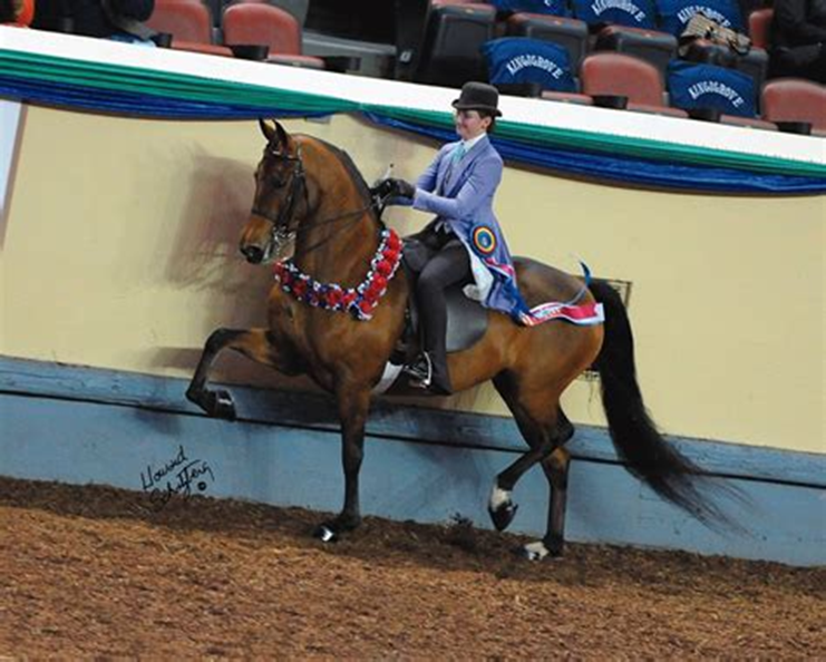 Eva Close tweet media