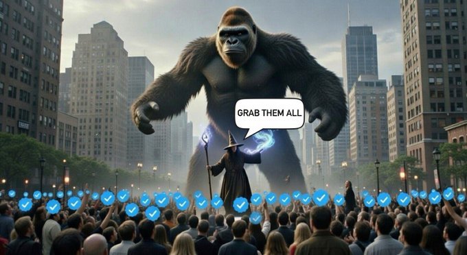 𝗦𝗮𝗺 𝗫 tweet media