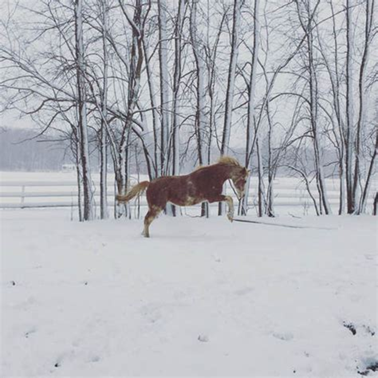 Eva Close tweet media