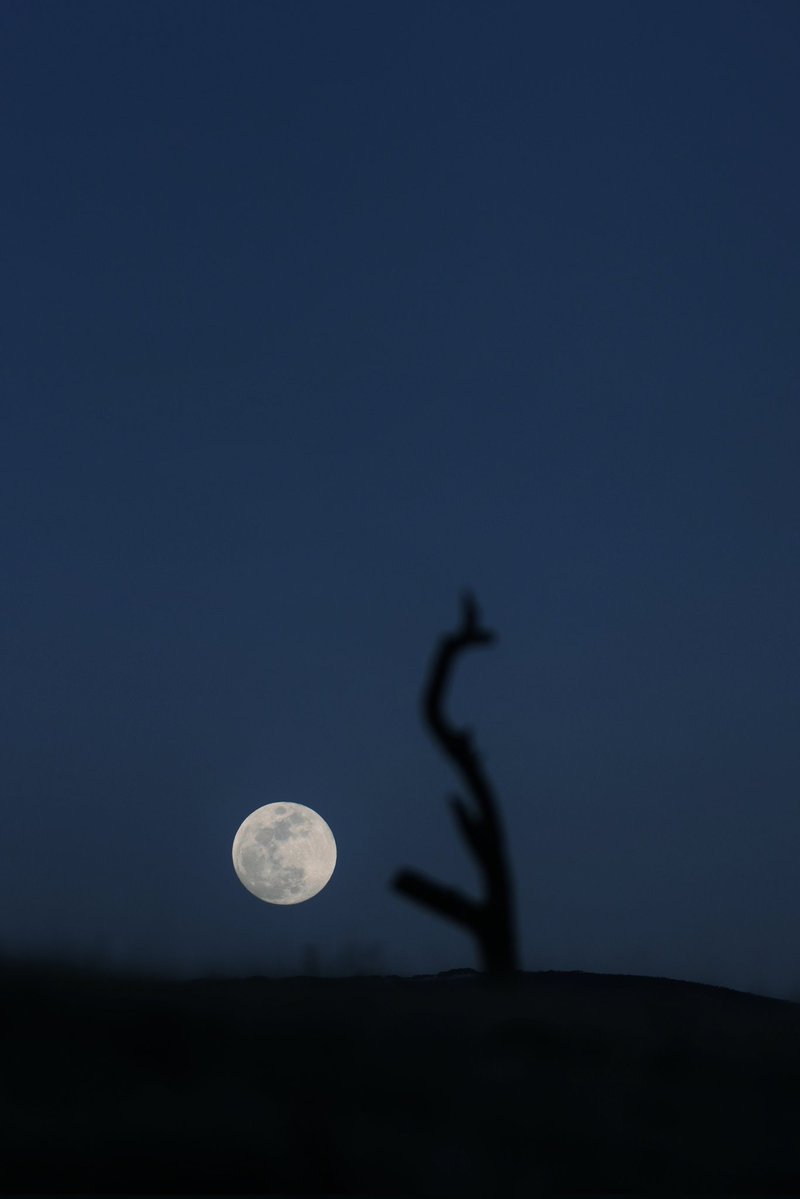 Abbas_rahmani63's tweet image. new

"Big Moon"

1/1 edition   222 #tezos

#Photography
Link:
objkt.com/tokens/hicetnu…