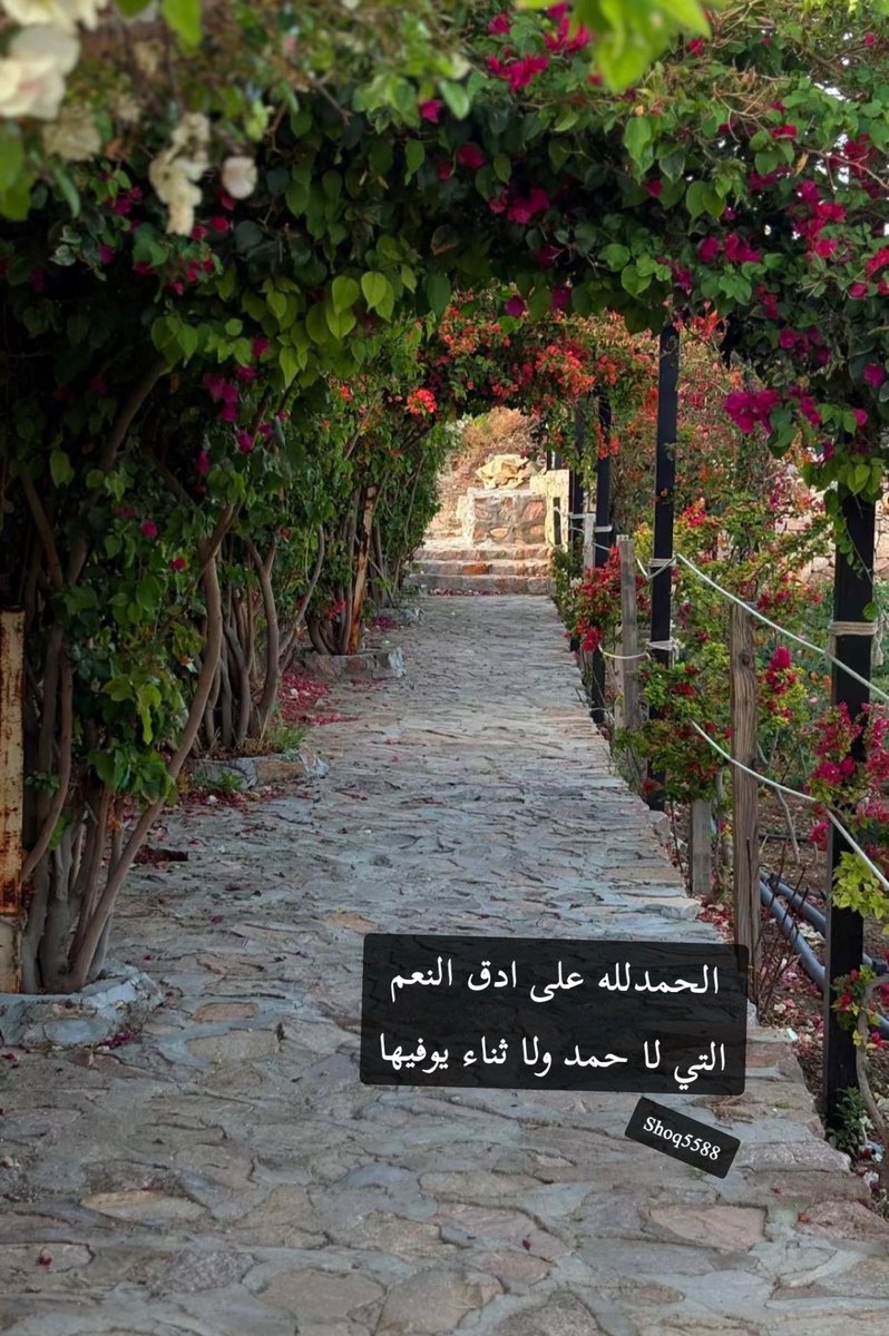(ربكم أعلم بمافي نفوسكم)
قد تتلعثم كلماتكـ وتتعثر أحرفكـ وتهرب منكـ لغتكـ لكن اللهِ يعلم بما في قلبكـ
اللهم إنا نسألكـ نوراً من عندكـ يضيء قلوبنا ويشرح صدورنا ويهدي خطانا ورعايةً منكـ تحفنا  وعنايةً لا تفارقنا
#يوم_الجمعه 
#ساعة_استجابه 
 #اوقف_مصحف_عن__والديك