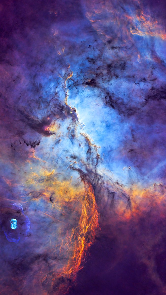 koreanoli tweet media