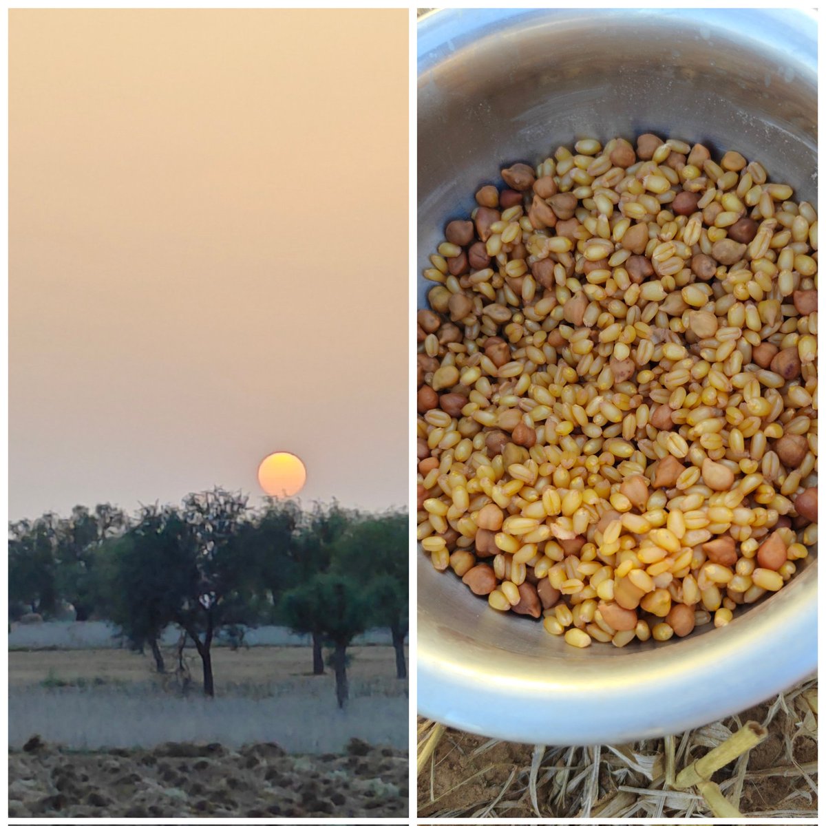 Supriya Ahlawat tweet media