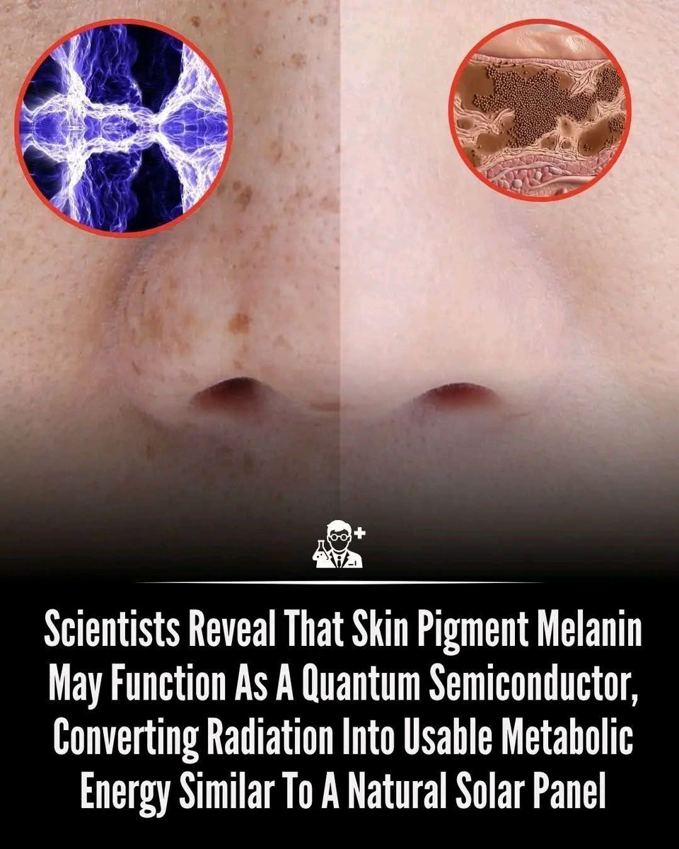 🧬Maxpein🧬 tweet media