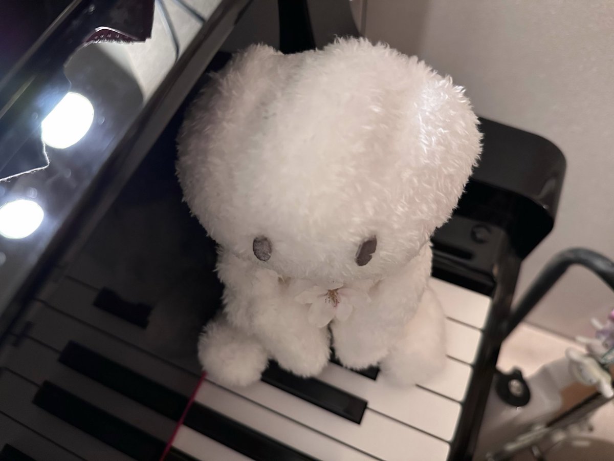 cororbit's tweet photo. https://t.co/2ntSeFNfQq