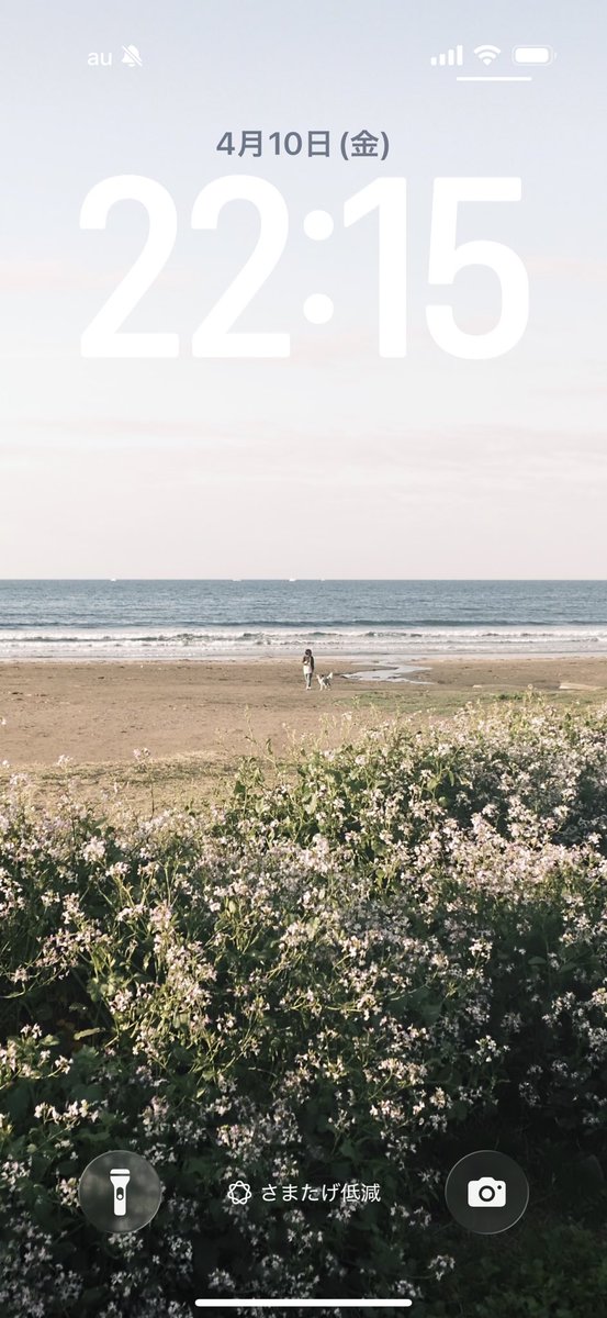 Yusuke Suzuki （鈴木 佑介）⭐️ときめきDOP tweet media