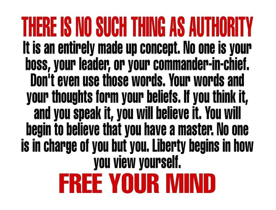 Cat O’ Nine Tales 🌺 🔫 tweet media