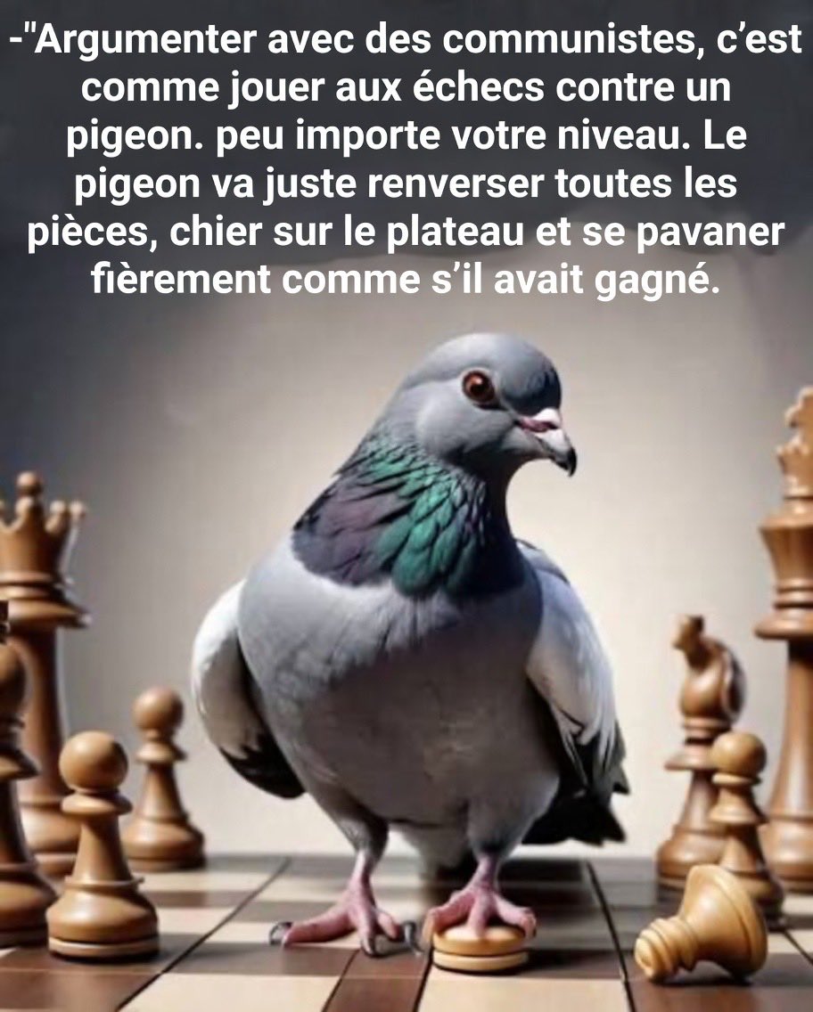 Jeff 🇨🇵 tweet media