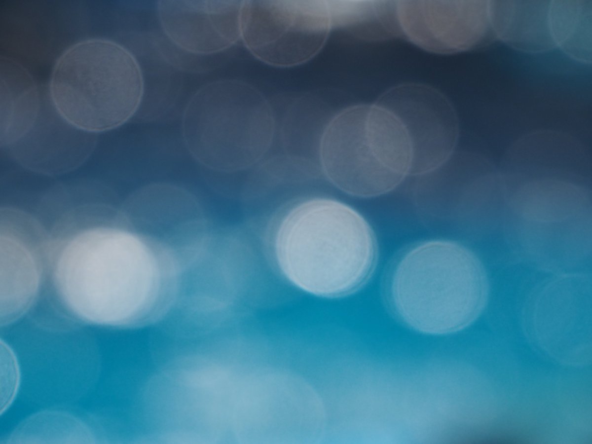 ぎ〜にょ🐉(城ホの土) tweet media