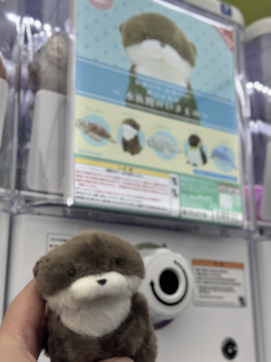 헤이레이 tweet media