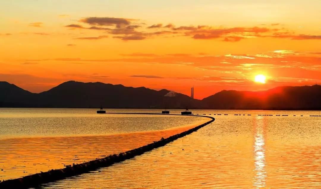 Brandi Parker tweet media