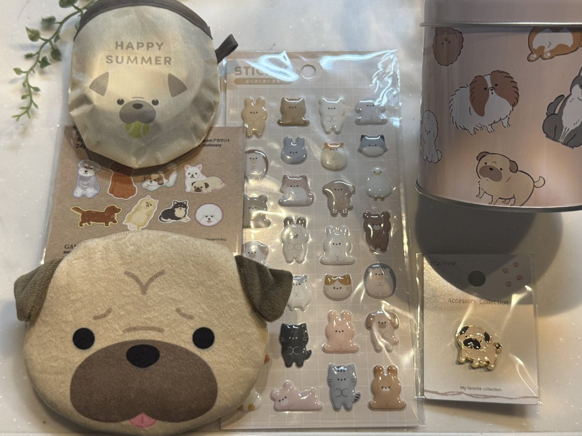 最近ゲットした100均パググッズ🩷