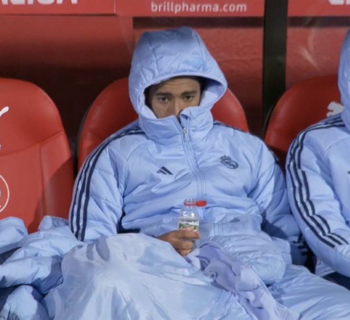 Miss ADEL🦋🦚🌹 tweet media