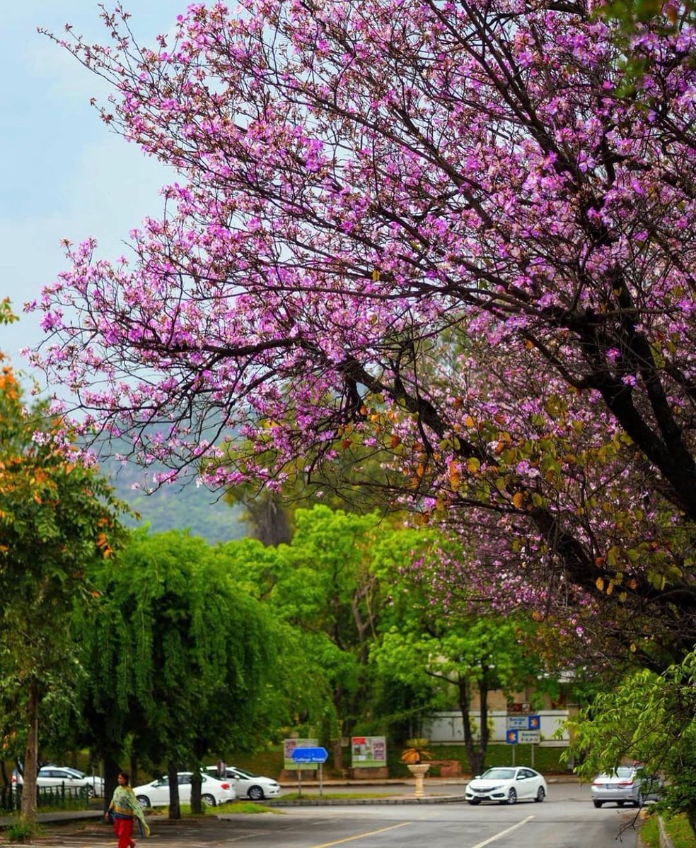 War Analyst tweet media