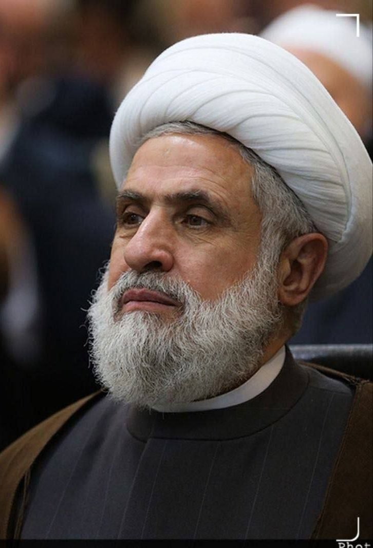 Seyed Mohammad Marandi tweet media