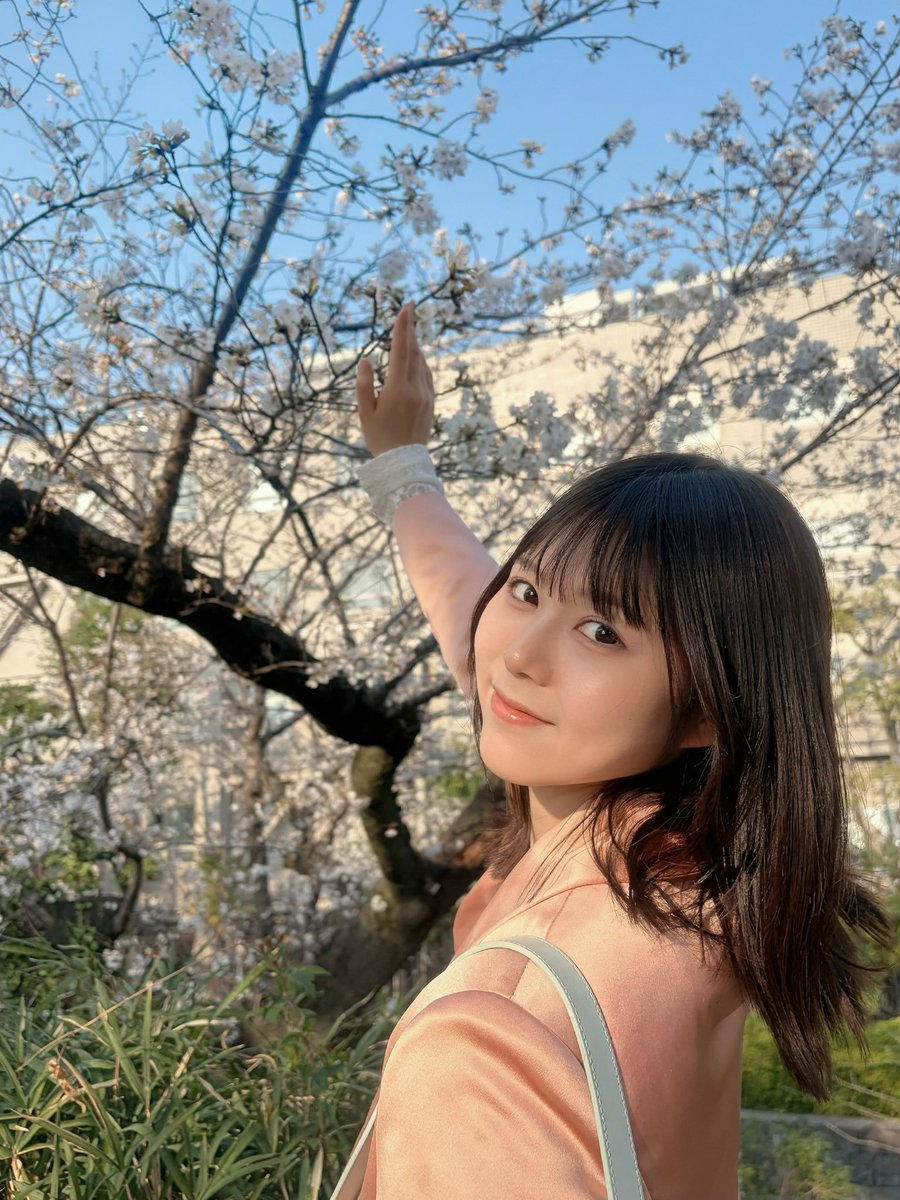 田中 しおり tweet media