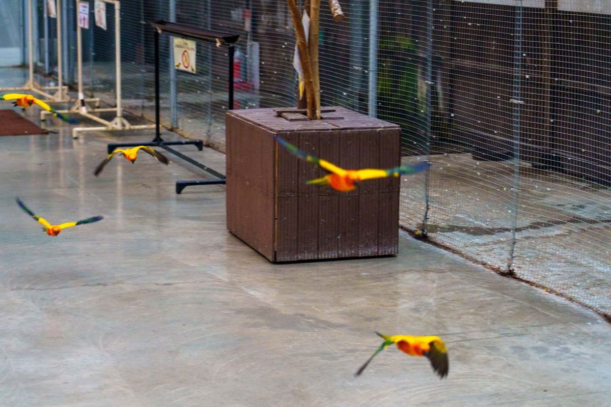 えぬぴ tweet media