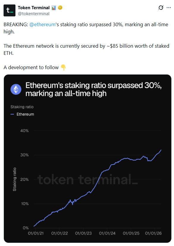 TheCryptoBasic tweet media