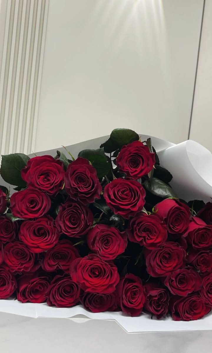 👸🏻 tweet media