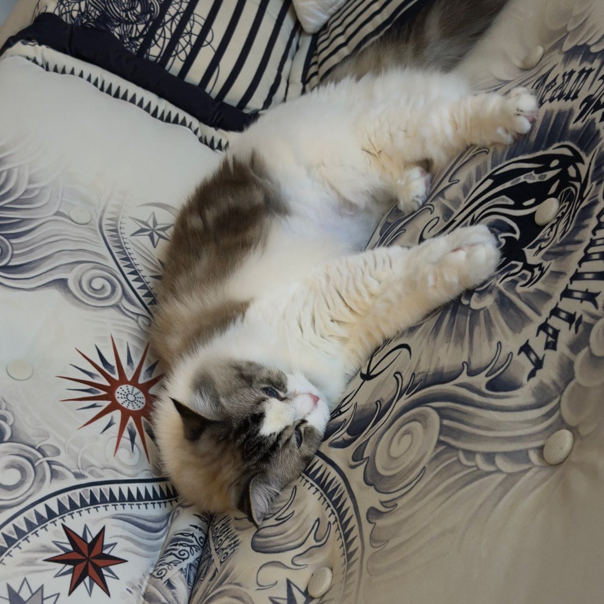 재민이편 tweet media