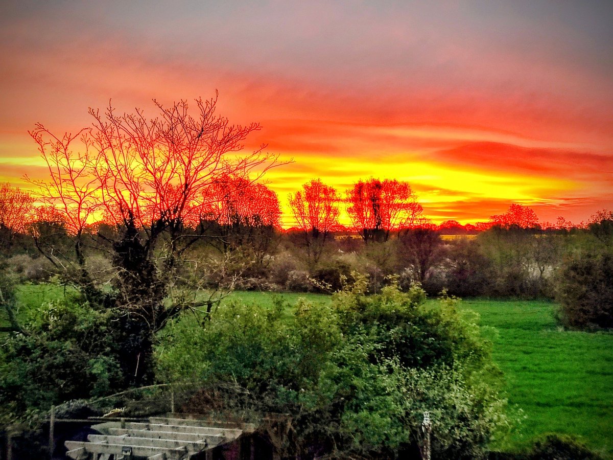 Cybernest's tweet image. Spectacular red glowing sunrise seen around Eye in Suffolk this morning! 😎💕

#redsunrise #Eye #Suffolk

📷 Courtesy of Jason Lovell @ Stunning Suffolk