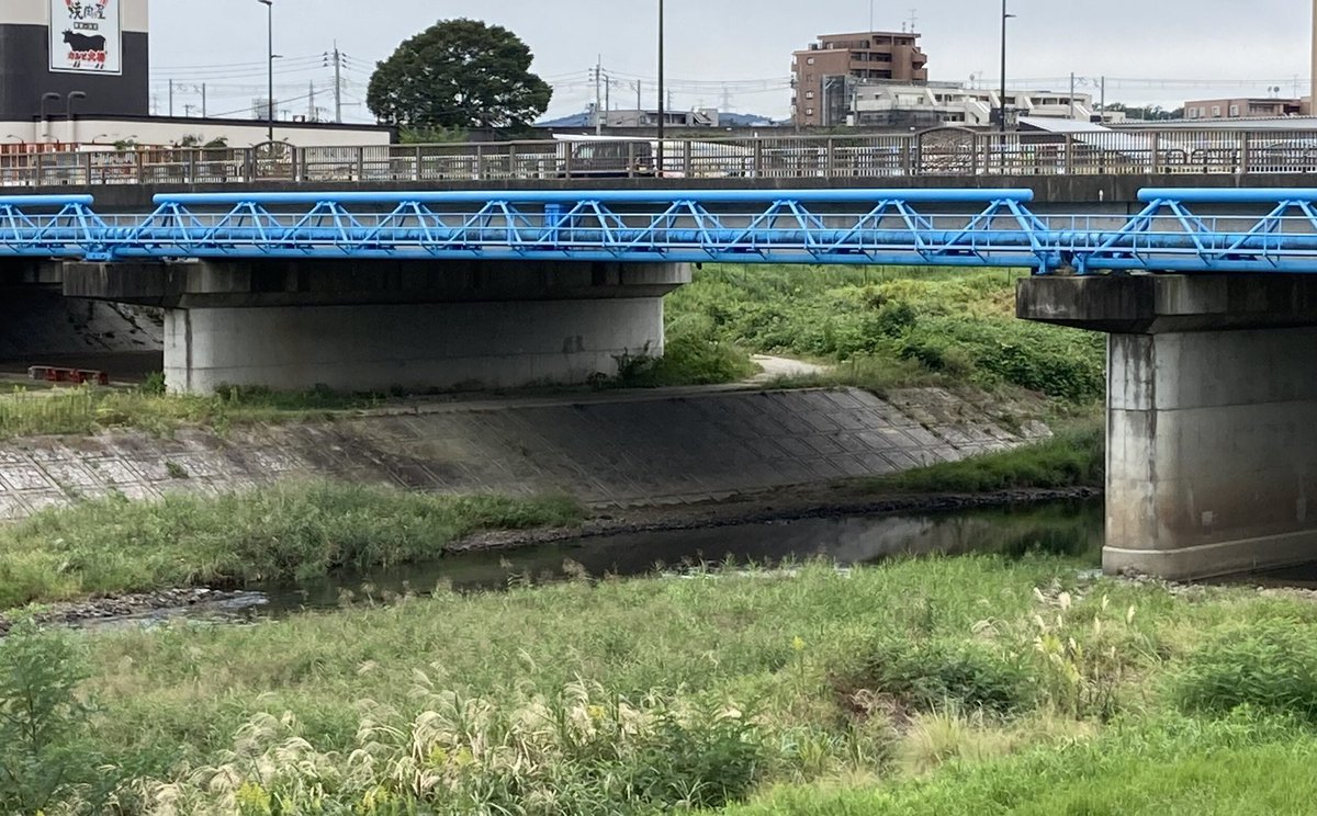 何もしないコガネ꒰ঌ*非公式*໒꒱ tweet media