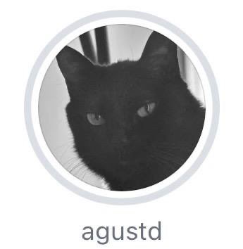 scenery ⋆🐾° tweet media