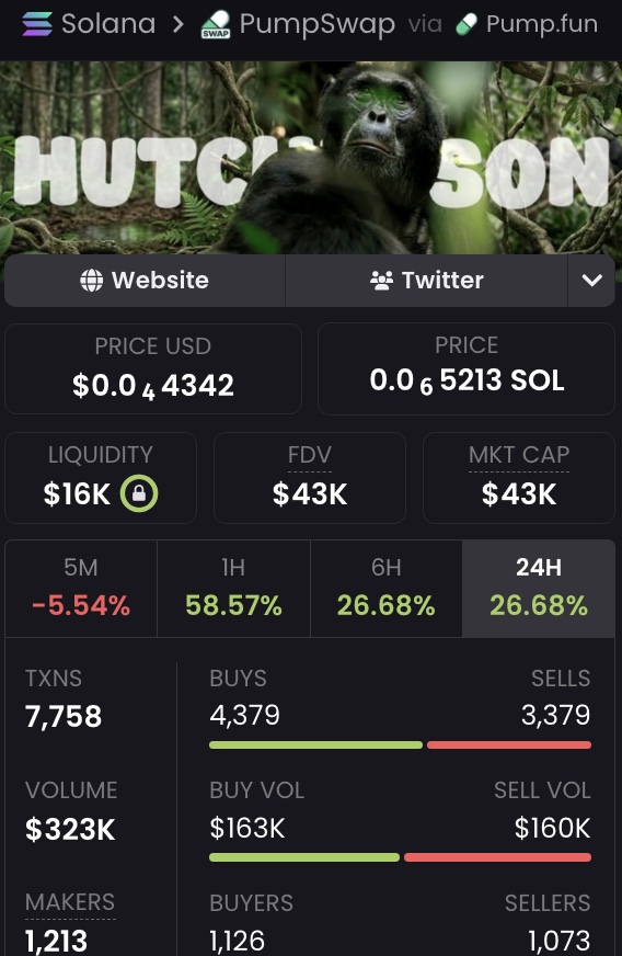 Lil Alpha tweet media